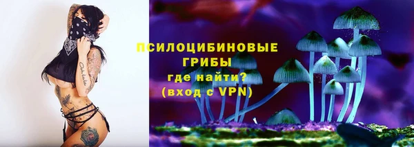 первитин Ельня