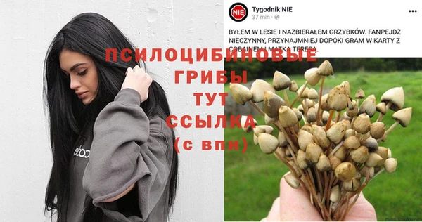 стафф Балахна